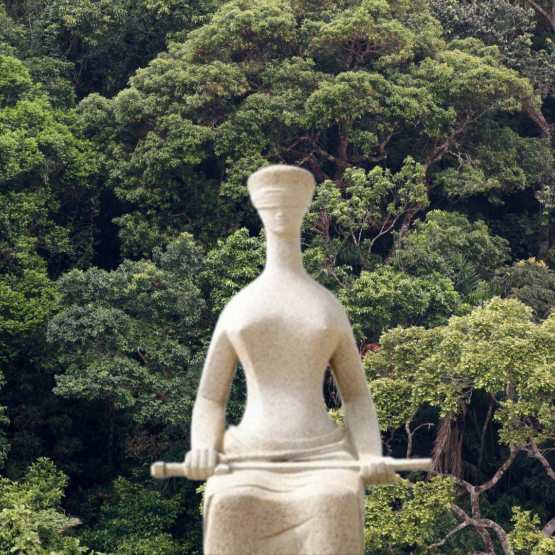 Atualização do julgamento da Pauta Verde pelo STF