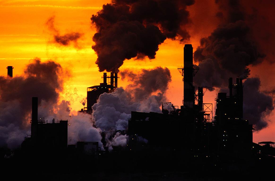Importantes avanços na  redução de gases de efeito estufa através do REDD+