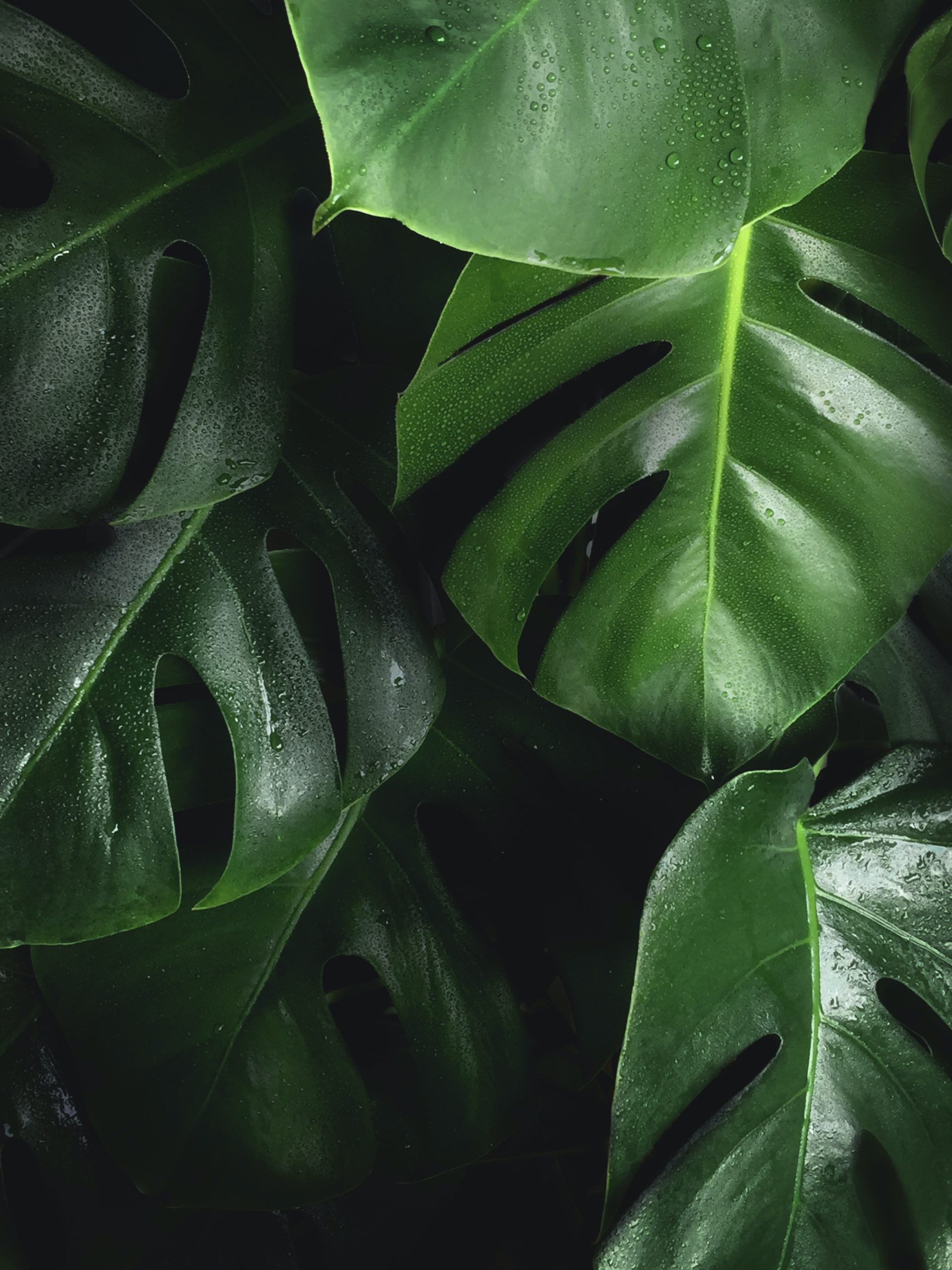 5 mitos e verdades sobre o licenciamento ambiental