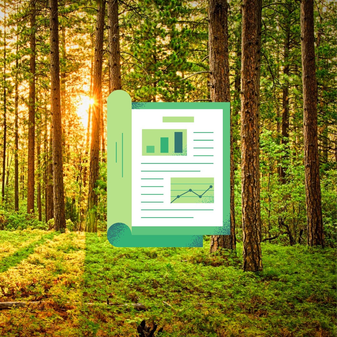 Por que adotar o relatório de sustentabilidade?