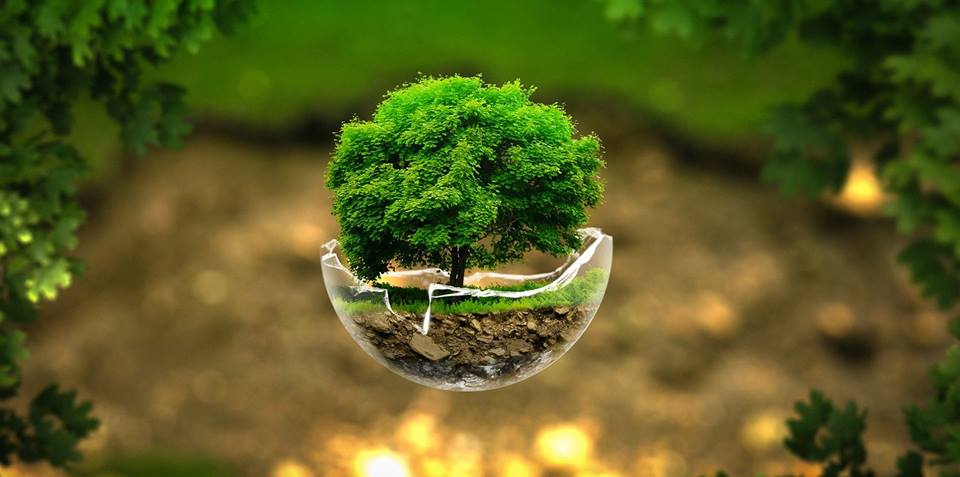 O que acontece com o Licenciamento Ambiental conduzido por um órgão incompetente?