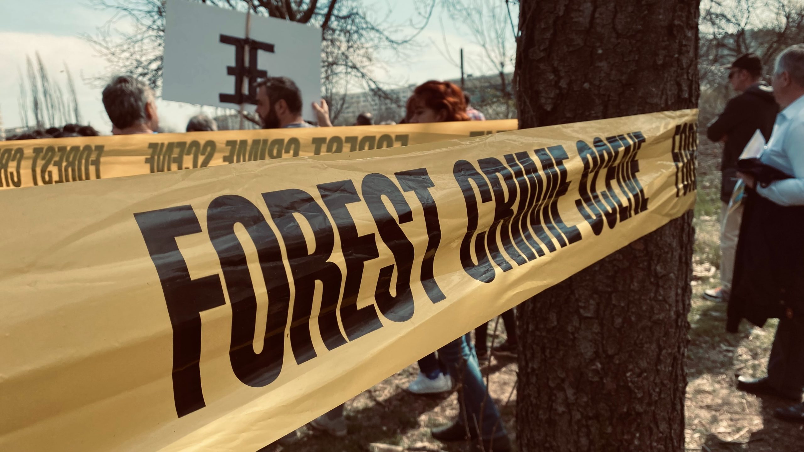 Ausência de perícia pode levar à absolvição de crime ambiental?