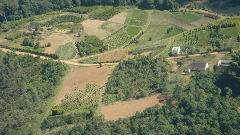 Propriedades privadas têm mais vegetação nativa preservada do que as unidades de conservação, diz ministra do Meio Ambiente