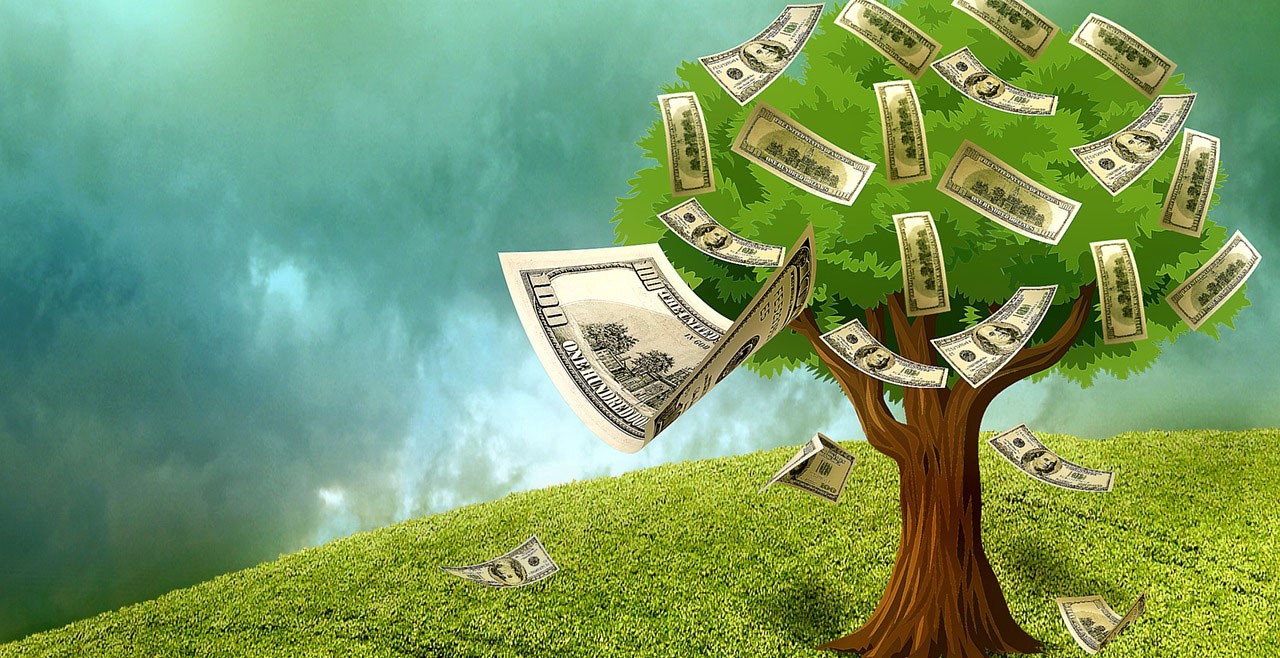 Saiba como monetizar sua Reserva Legal e aprenda: Dinheiro pode sim dar em árvore