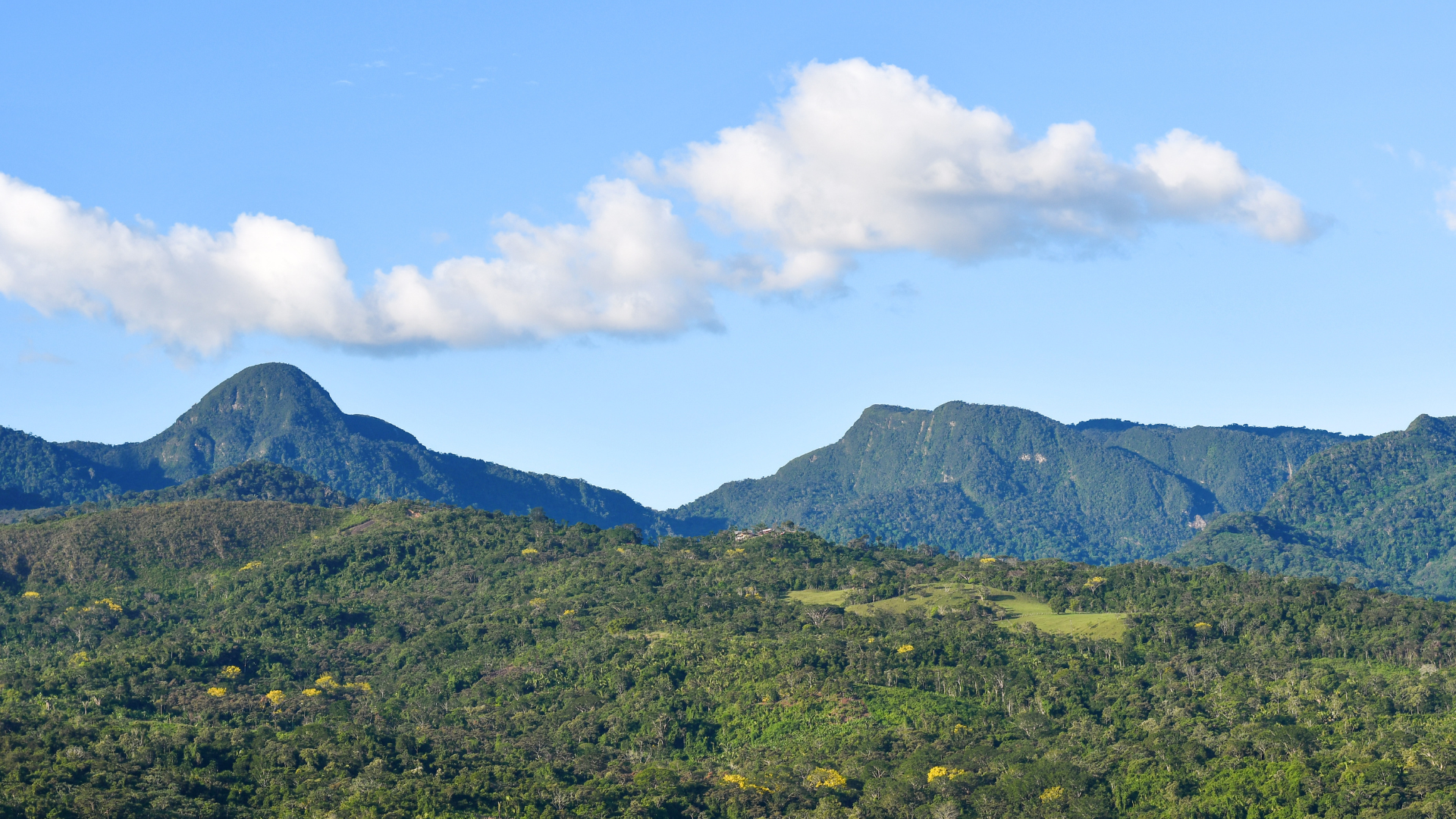 A Reserva Biológica (REBIO) e suas peculiaridades