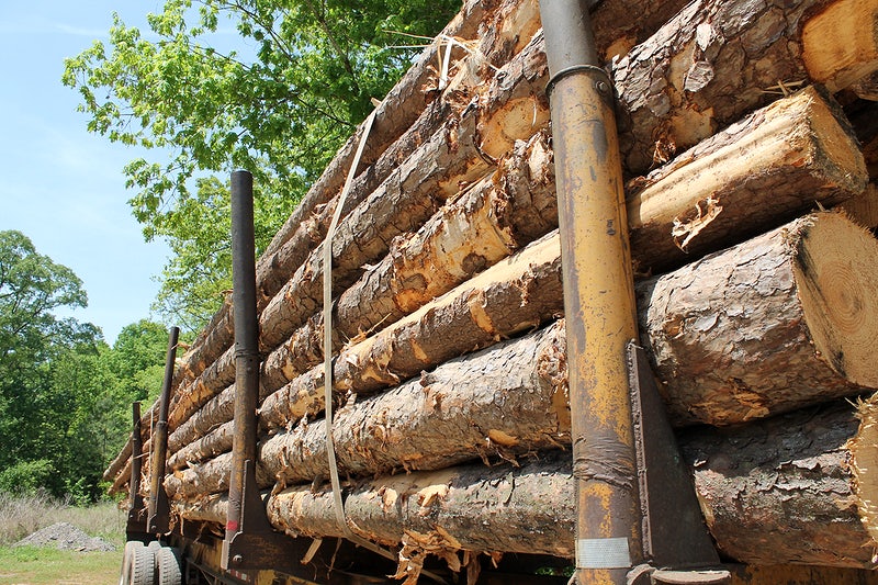 Existem limites para a apreensão de bens nas infrações ambientais?
