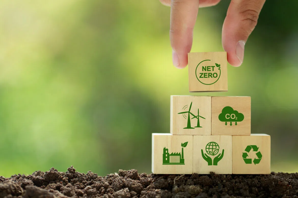 A segurança jurídica dos projetos REDD + e o Mercado de Carbono.