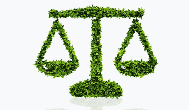 Entenda a nova sistemática de compensação ambiental federal
