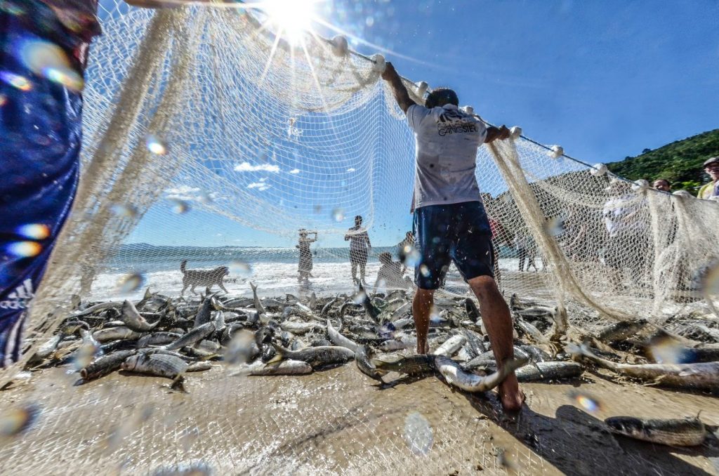 Pesca, Surf e Competências Ambientais