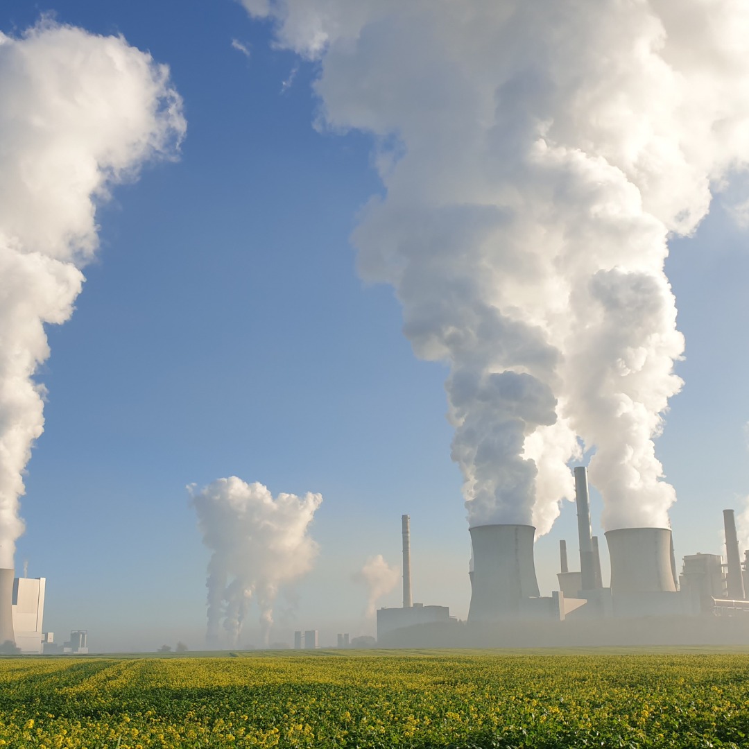 Mercado de Carbono: Regulado e Voluntário. Conheça as principais diferenças e oportunidades