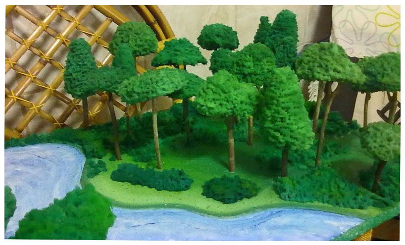 Meu terreno está dentro de um “Parque de Papel”. Há algo que possa ser feito?