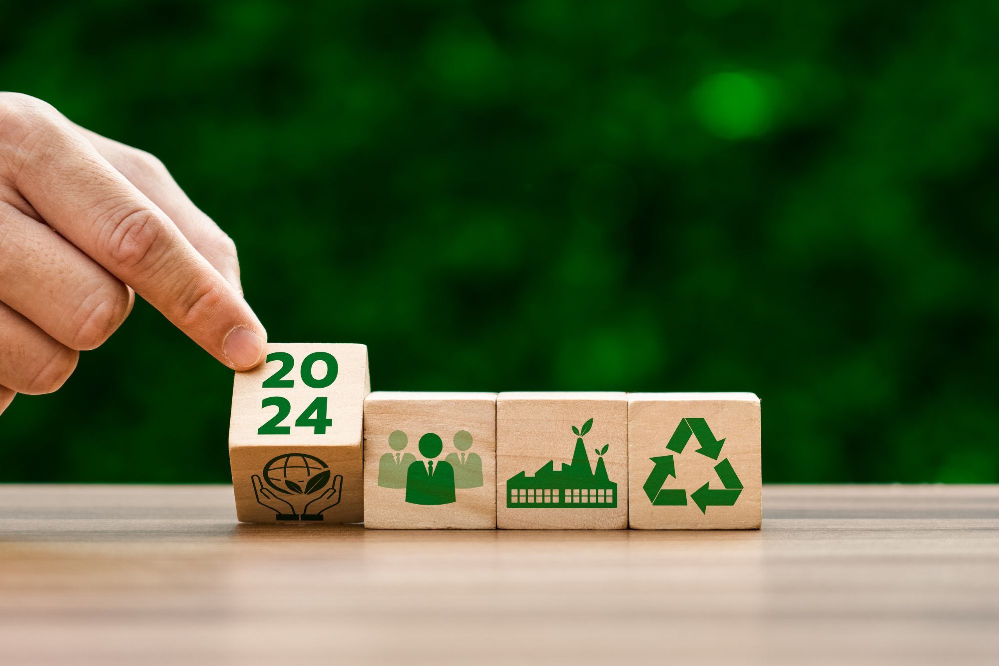 COP 29: o que muda para as empresas brasileiras?
