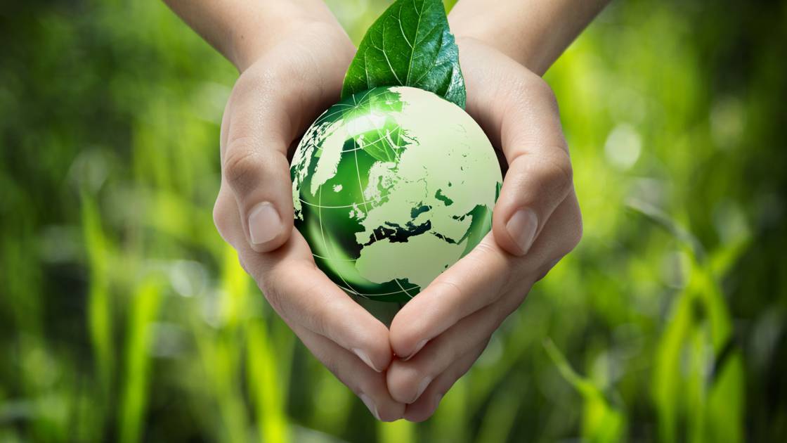 Contencioso Ambiental em tempos de Pandemia: A roda segue girando
