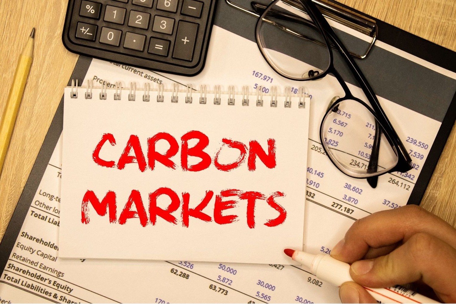 Como preparar sua empresa para o mercado regulado de carbono