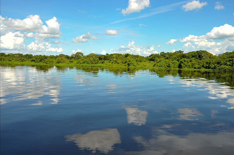 Em direito ambiental vale sempre a norma “mais protetiva” ao meio ambiente?