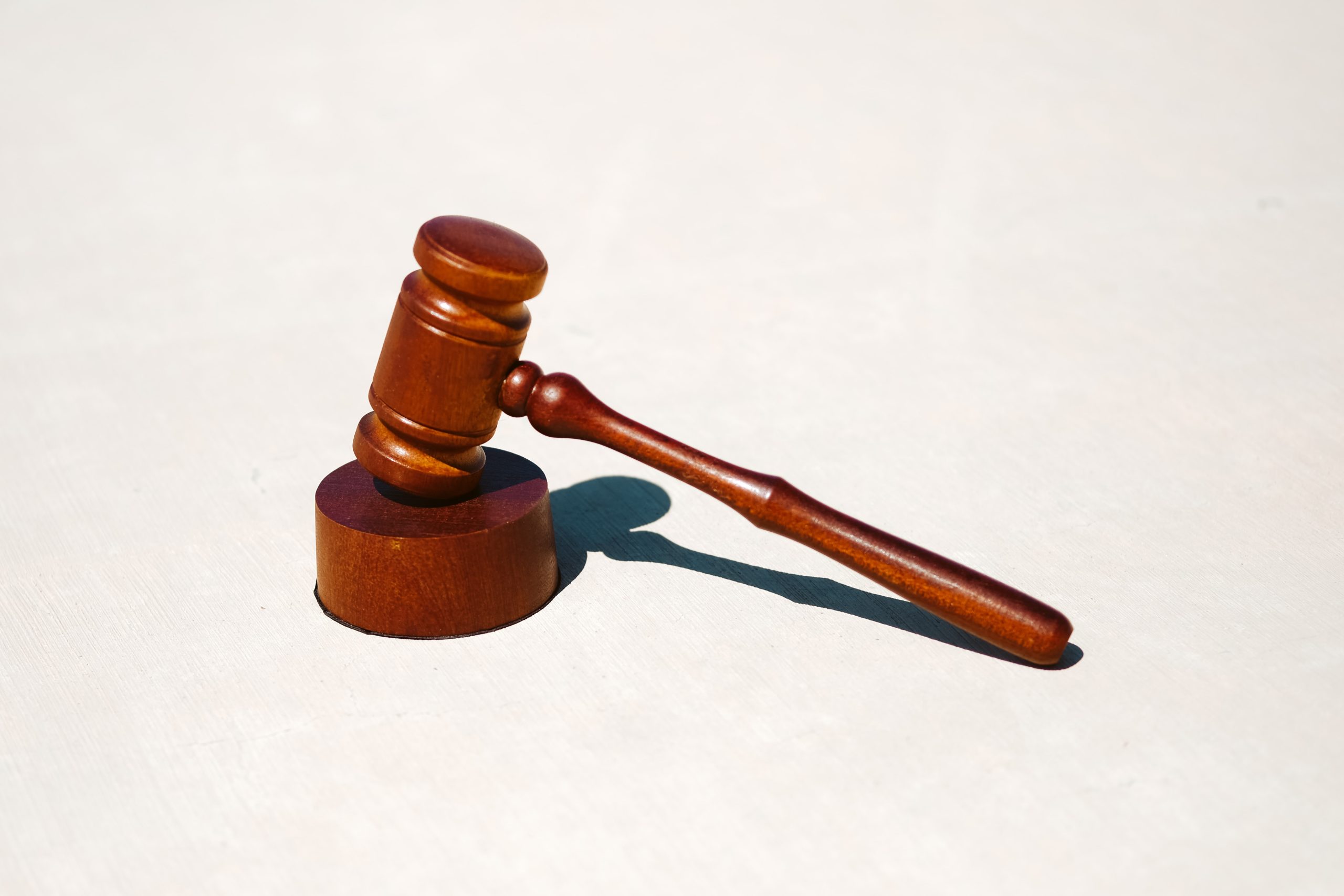 Efeito manada do poder judiciário em ações ambientais