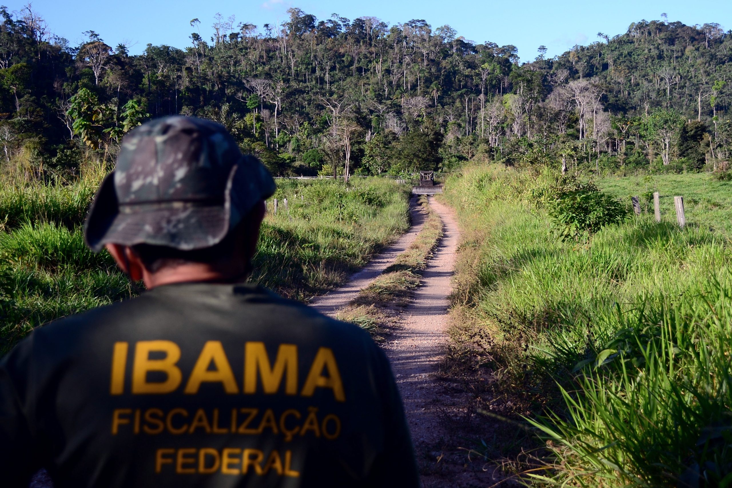 Descumprimento de embargo ou de condicionantes ambientais pode configurar crime ambiental?