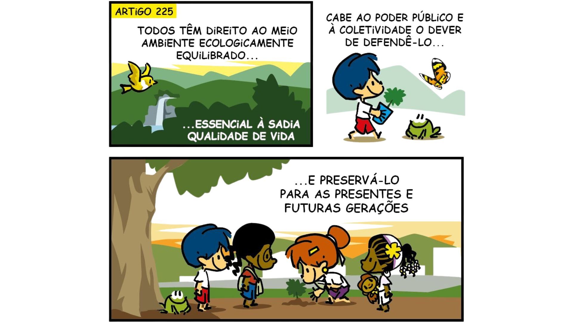 O direito das futuras gerações ao meio ambiente no Brasil