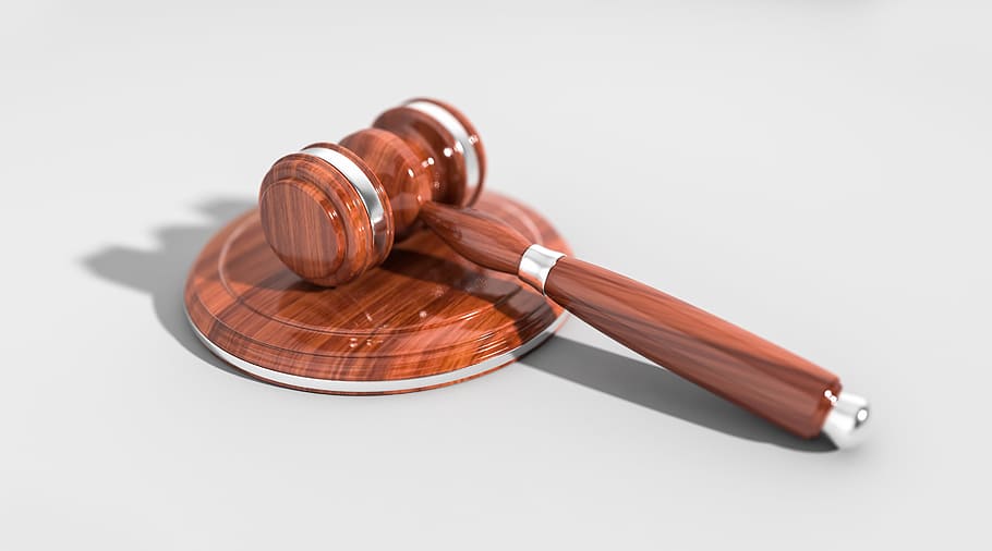 Os limites da sentença criminal ambiental