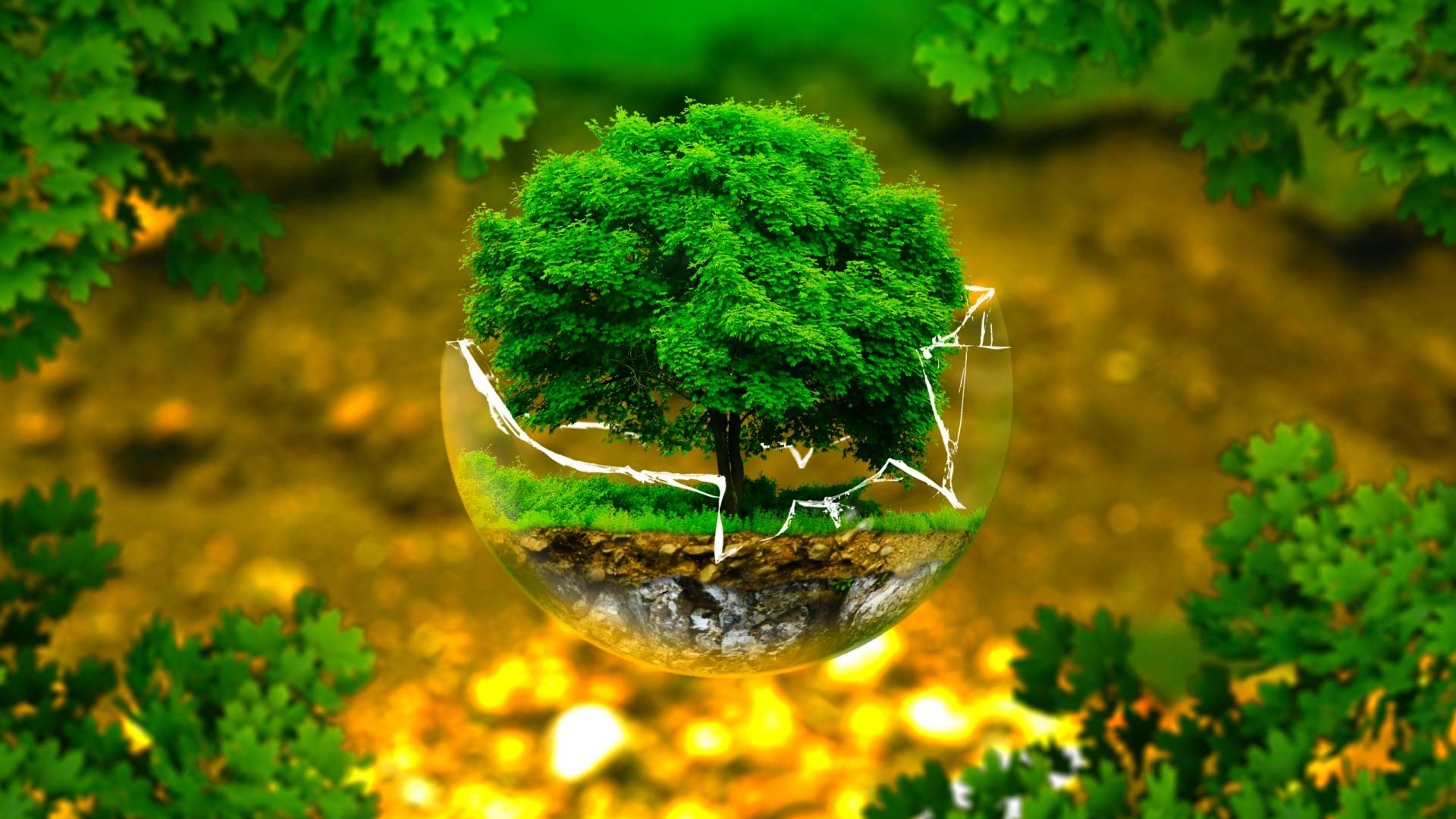 Todo licenciamento ambiental precisa de EIA/Rima?