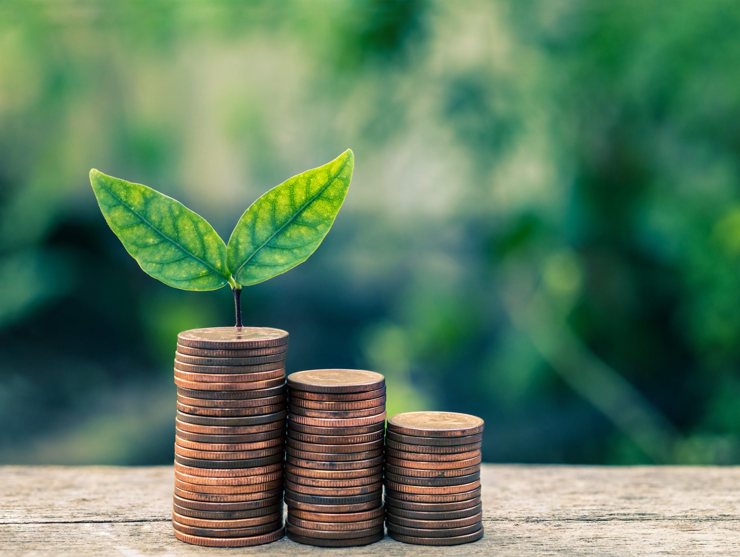 O poder da valoração econômica ambiental no fortalecimento dos negócios