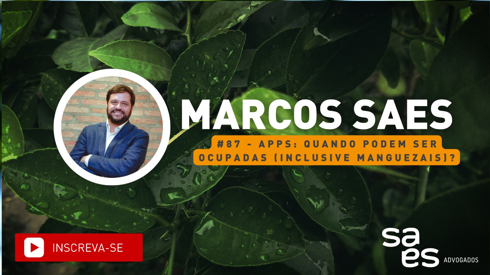 APPs: Quando podem ser ocupadas (inclusive manguezais)?