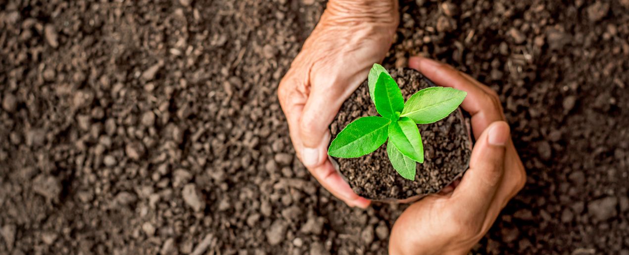 A participação dos intervenientes no licenciamento ambiental