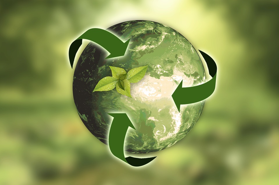 Novo marco regulatório de Licenciamento Ambiental do Rio de Janeiro