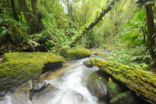 Fique por dentro das novas regras de compensação em Santa Catarina