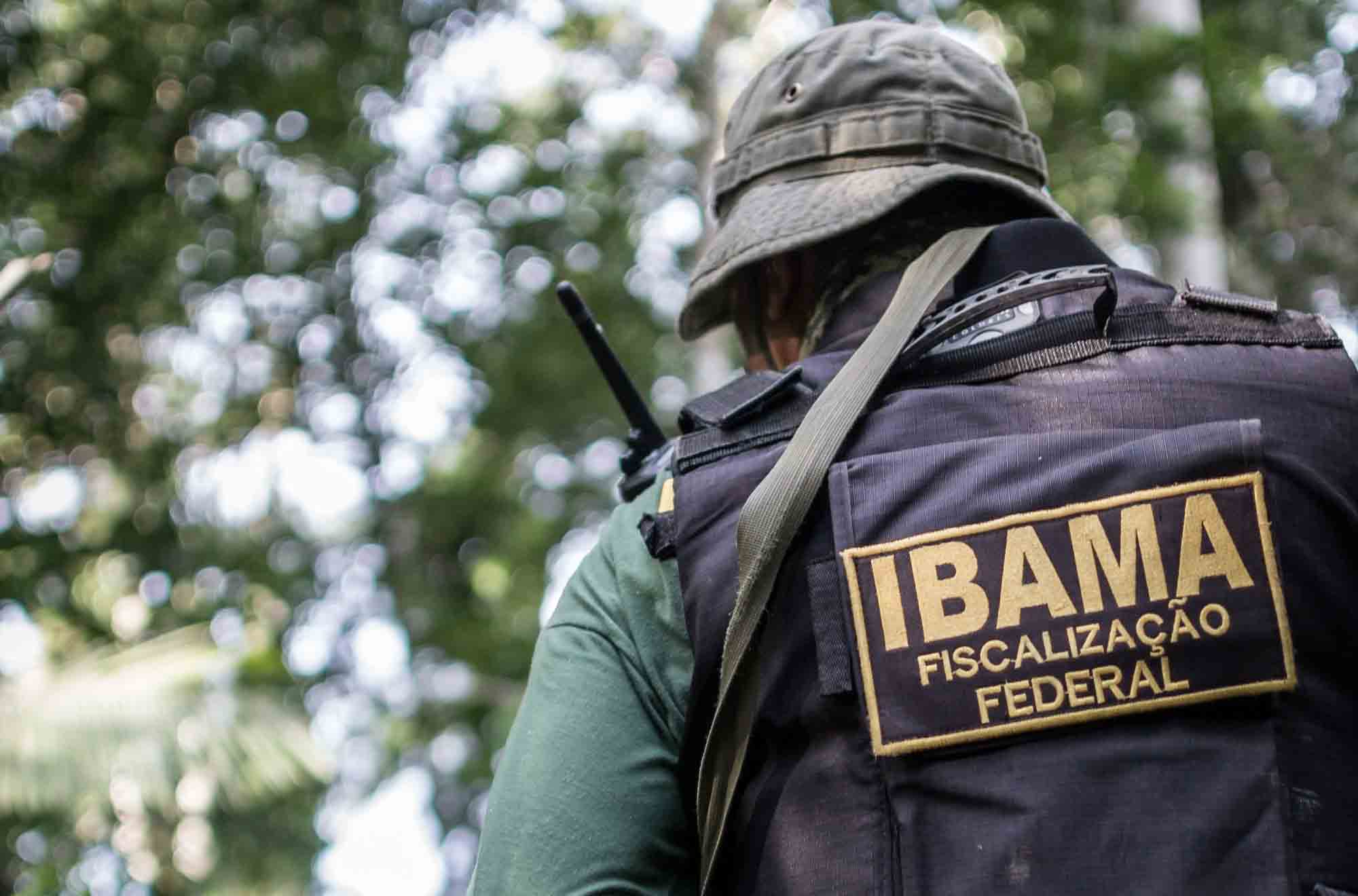 A anuência do IBAMA para supressão de vegetação de Mata Atlântica