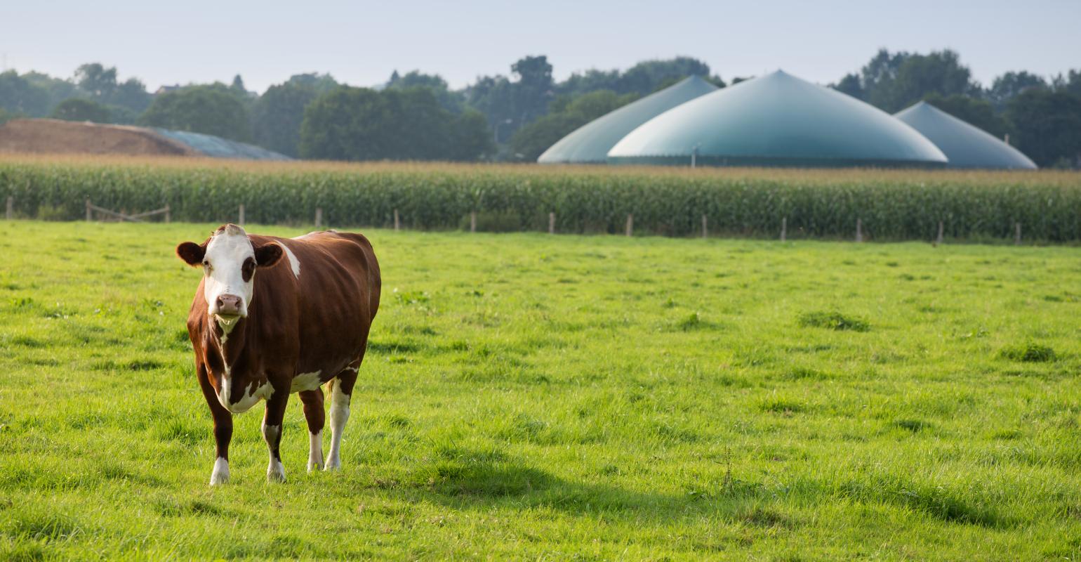 Biogás – Sustentabilidade e rentabilidade para sua propriedade rural