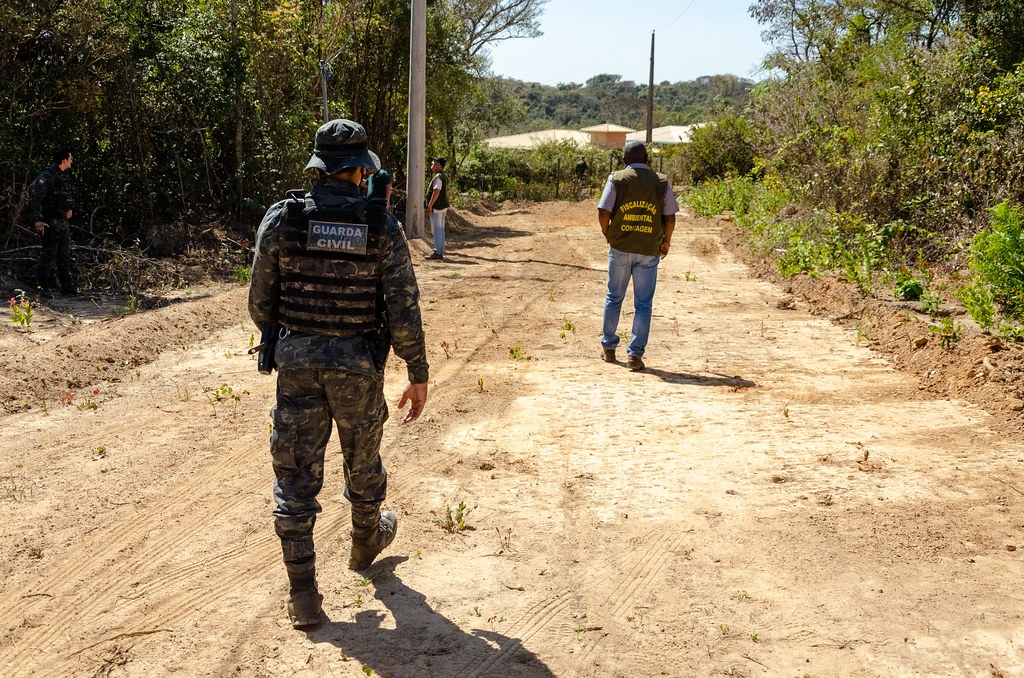 Os limites da competência comum para proteção do meio ambiente